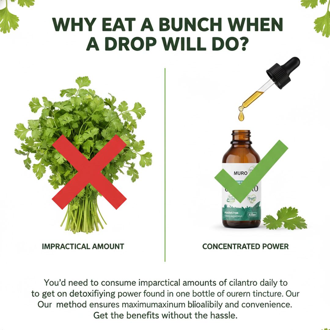 Muro Cilantro Extract